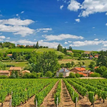 T2 Tout Equipe Au Beau Milieu Du Centre Historique Apartment Villefranche-sur-Saone Ngoại thất bức ảnh